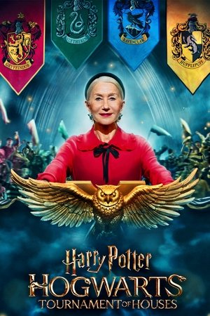 Harry Potter: Roxforti Házak bajnoksága poszter