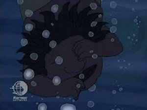 Rocket Power 1. évad Ep.14 14. epizód