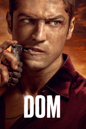 DOM poszter