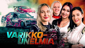 Varikkounelmia kép