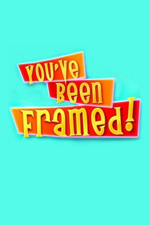 You've Been Framed! poszter