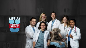 Life at Vet U kép