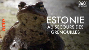 ARTE 360° Reportage 24. évad Ep.23 23. epizód