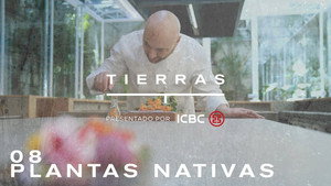 Proyecto Tierras 1. évad Ep.8 8. epizód