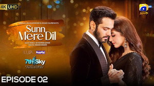 Sunn Mere Dil kép