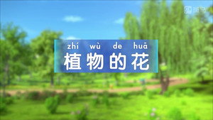 斑马百科 4. évad Ep.5 5. epizód