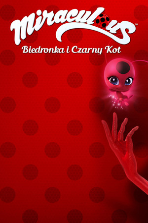 Miraculous Katicabogár és Fekete Macska kalandjai poszter
