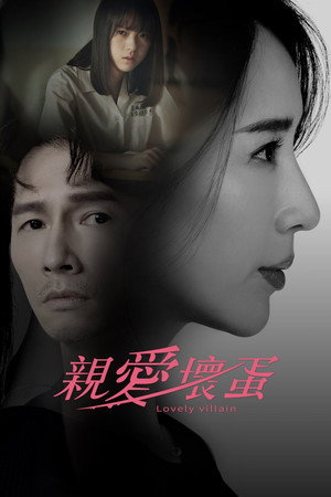 親愛壞蛋 poszter