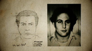 Beszélgetések egy sorozatgyilkossal: A David Berkowitz-szalagok kép