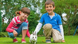 Topsy and Tim kép