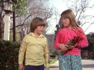 Eight Is Enough 4. évad Ep.24 24. epizód