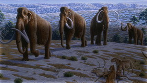 Wild New World kép