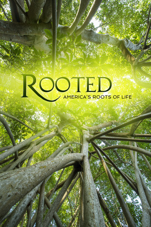 Rooted 2. évad (2022-11-09) poszter