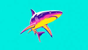 Shark Week kép