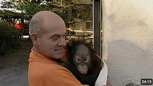 Monkey Business 2. évad Ep.7 7. epizód