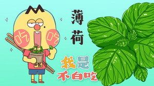 我是不白吃 1. évad Ep.17 17. epizód