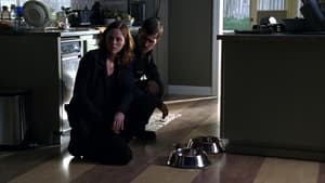 CSI: A helyszínelők 6. évad Ep.9 A házaspár halála