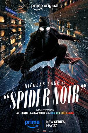 A Pók: Noir poszter