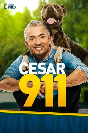 Tárcsázza Cesar Millant! poszter