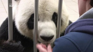 Expédition Pairi Daiza 1. évad Ep.3 3. epizód