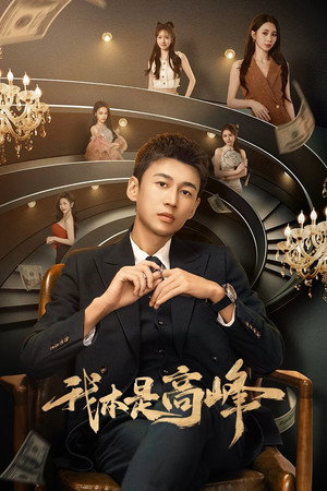 我本是高峰 poszter