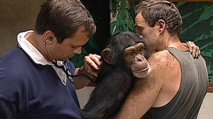 Monkey Business 1. évad Ep.3 3. epizód