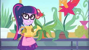 My Little Pony: Equestria Girls - Better Together 1. évad Ep.8 8. epizód