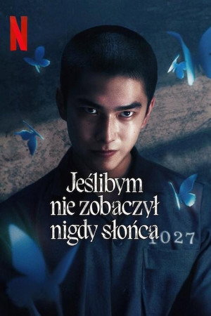 如果我不曾見過太陽 poszter