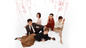 妻子的选择 kép