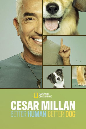 Cesar Millan: Jó gazdi, jó kutya 3. évad (2023-01-06) poszter