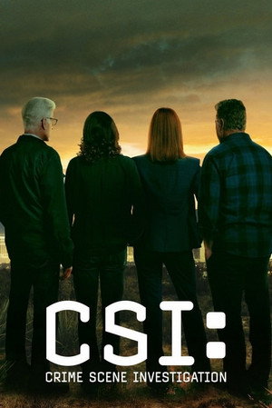 CSI: A helyszínelők poszter