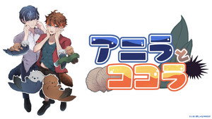 アニラとココラ kép