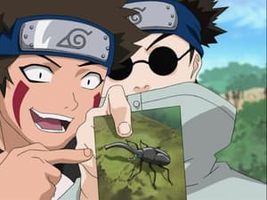 Naruto 3. évad Ep.149 Ilyen rovar, olyan rovar, ki a fene látja köztük a különbséget?