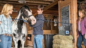 Heartland 10. évad Ep.4 4. epizód