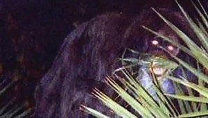 MonsterQuest 1. évad Ep.9 9. epizód