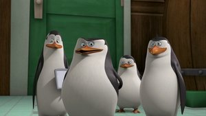A Madagaszkár pingvinjei 1. évad Ep.16 A pattogatott kukorica pánik