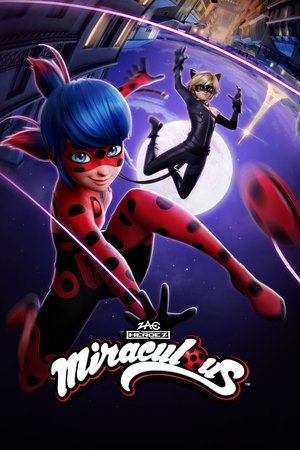 Miraculous Katicabogár és Fekete Macska kalandjai poszter
