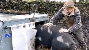 Frank & Kastaniegaarden 15. évad Ep.12 12. epizód