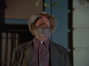 Eight Is Enough 3. évad Ep.12 12. epizód