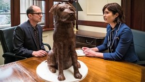 BrainDead 1. évad Ep.1 1. epizód