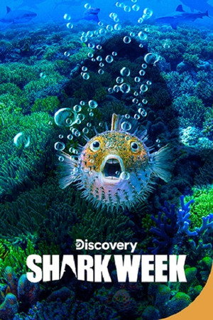 Shark Week 32. évad () poszter
