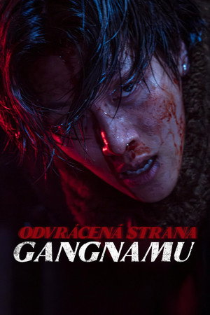 Gangnam sötét oldala poszter