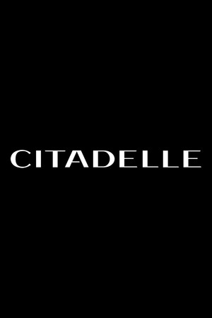 Citadel poszter