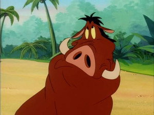 Timon és Pumba a Föld körül 3. évad Ep.7 7. epizód