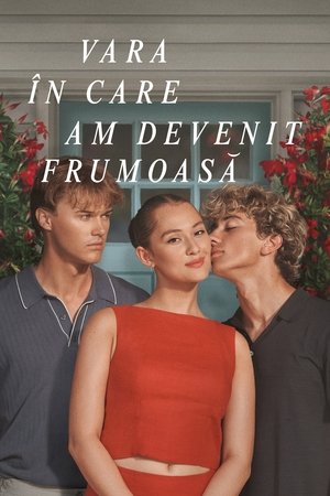 A nyár, amikor megszépültem poszter