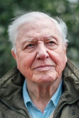 David Attenborough profil kép