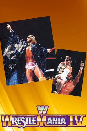 WWE Pay Per View 4. évad (1988-01-24) poszter