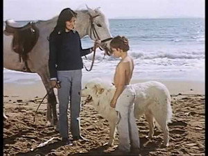 Belle és Sébastien 2. évad Ep.3 3. epizód
