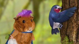 Wonder Pets: In the City 1. évad Ep.3 3. epizód