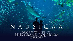 Nausicaá : Dans les coulisses du plus grand aquarium d'Europe kép